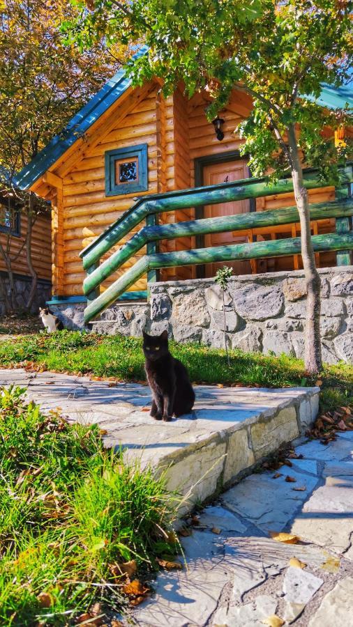 Kozak Apartments & Restaurant Mojkovac Extérieur photo